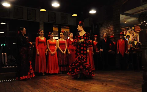 Flamenco Australia . image