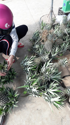 Top 20 mở cửa hàng Huyện Giồng Trôm Bến Tre 2022