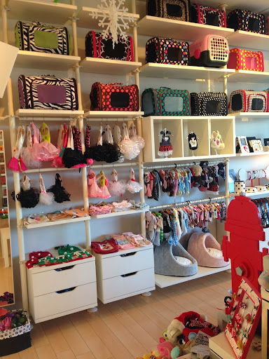 Pet Supply Store «Woof Woof Puppies & Boutique», reviews and photos, 29555 Northwestern Hwy, Southfield, MI 48034, USA