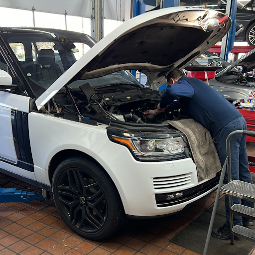 Car Dealer «Mario Lo Medico Exotic Motors», reviews and photos, 215 Newman Springs Rd E, Shrewsbury, NJ 07702, USA