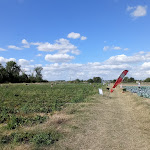 Photo n° 3 de l'avis de Emmanuel.o fait le 03/08/2020 à 05:10 pour Cueillette de la Ferme du Paradis 
