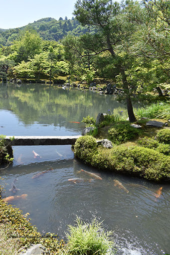 Travel Agency «Travel Leaders Indy», reviews and photos, 9745 Fall Creek Rd, Indianapolis, IN 46256, USA