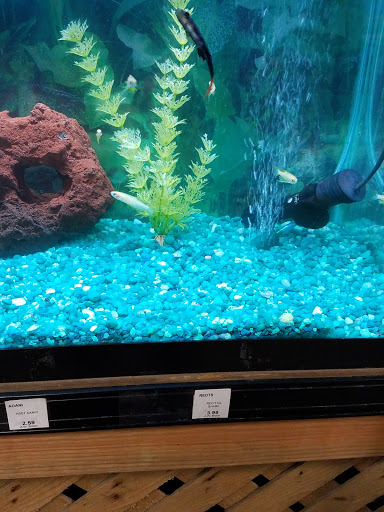 Garden Center «A W Brown Pet & Garden», reviews and photos, 144 Shaker Rd, East Longmeadow, MA 01028, USA