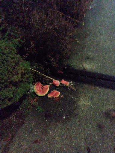 Drug Store «Bartell Drugs Broadway», reviews and photos, 1825 Broadway, Everett, WA 98201, USA