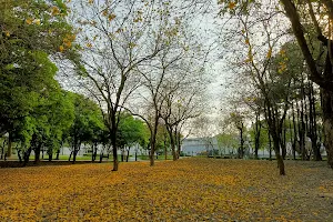 Erzhen Forest Park image