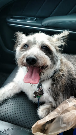 Pet Supply Store «PetSmart», reviews and photos, 290 Town Center Pkwy, Slidell, LA 70458, USA