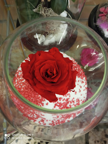 Opinii despre ΑΝΘΟΤΕΧΝΙΚΗ în Ίλιον - Ανθοπωλείο