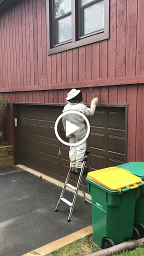 Pest Control Service «A-Action Pest Control», reviews and photos