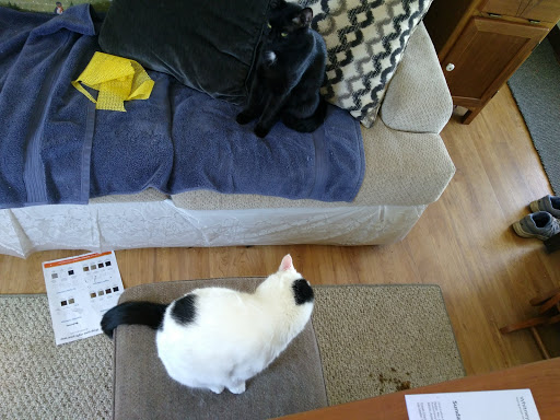 Home Goods Store «Dollar General», reviews and photos, 2649 Main St, Whitney Point, NY 13862, USA