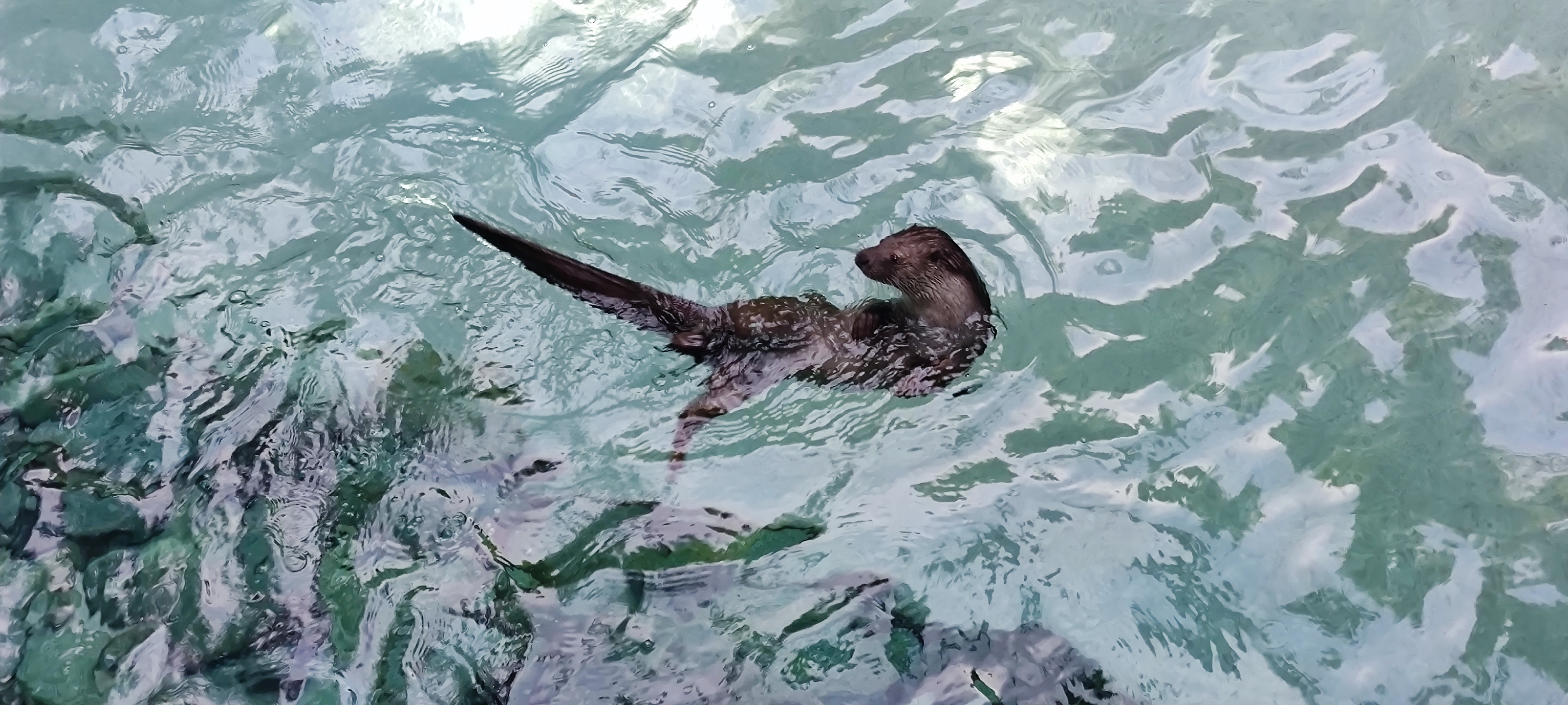 Photo n° 4 de l'avis de sandrine.e fait le 11/06/2022 à 19:03