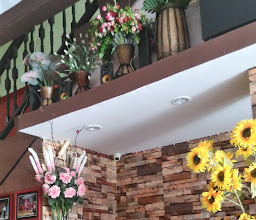 vegetarian cafe lucy photo