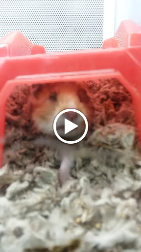 Pet Supply Store «Petco Animal Supplies», reviews and photos, 1169 Valley River Dr, Eugene, OR 97401, USA