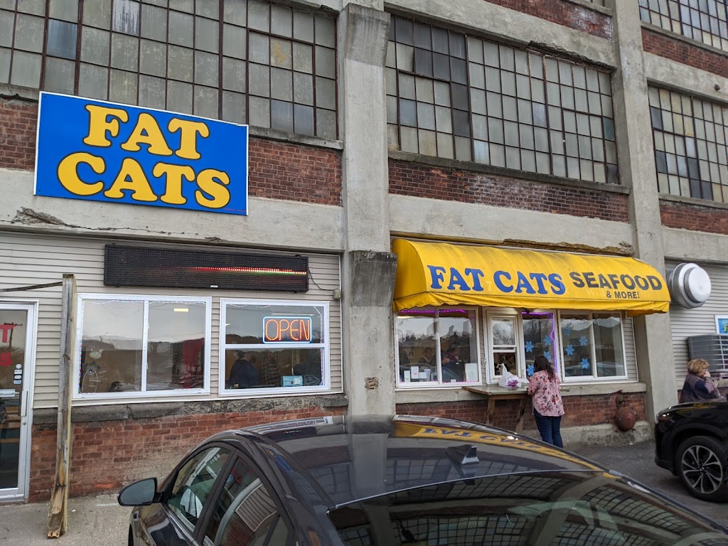 Fat Cats 13350
