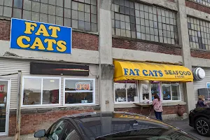 Fat Cats image