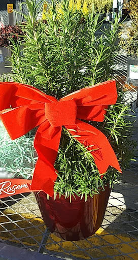 Home Improvement Store «The Home Depot», reviews and photos, 6921 Walton Ln, Gloucester Courthouse, VA 23061, USA