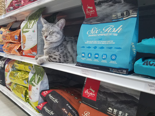 Pet Supply Store «The Pet Beastro», reviews and photos, 27637 John R Rd, Madison Heights, MI 48071, USA