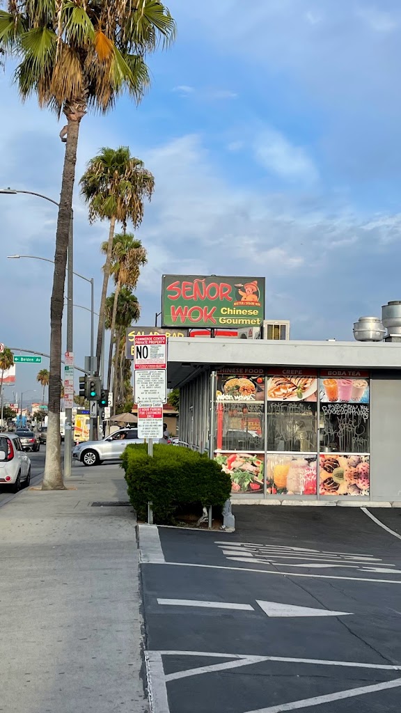 Señor Wok 90022