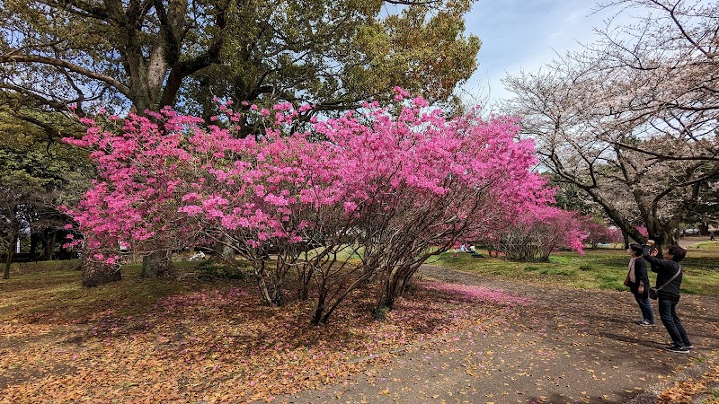 別府公園