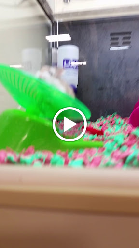 Pet Supply Store «PetSmart», reviews and photos, 208 Mariner Way, Biddeford, ME 04005, USA