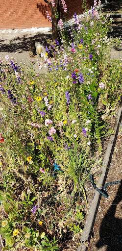 College «Sacramento City College», reviews and photos