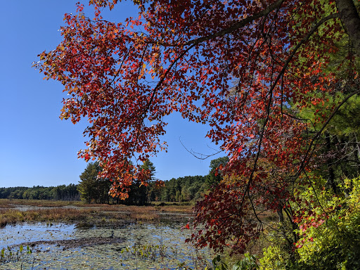 National Reserve «Assabet River National Wildlife Refuge», reviews and photos, 680 Hudson Road, Sudbury, MA 01776, USA