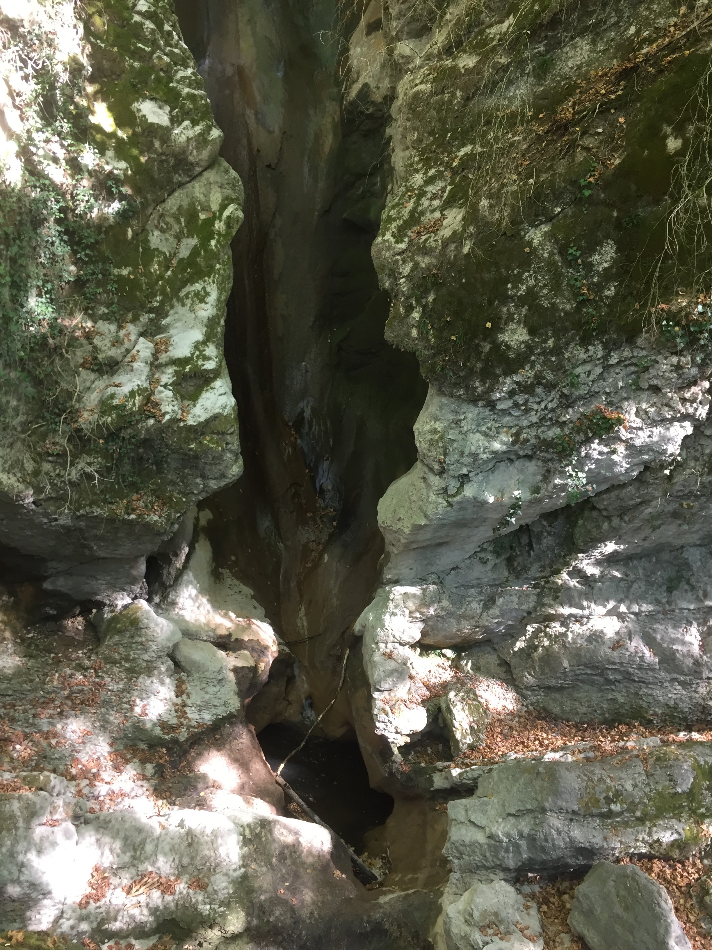 Photo n° 4 de l'avis de ghebbari.a fait le 23/05/2019 à 00:10