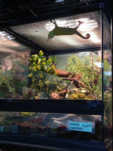 Pet Store «Pet Cove», reviews and photos, 820 E Center St, Kingsport, TN 37660, USA