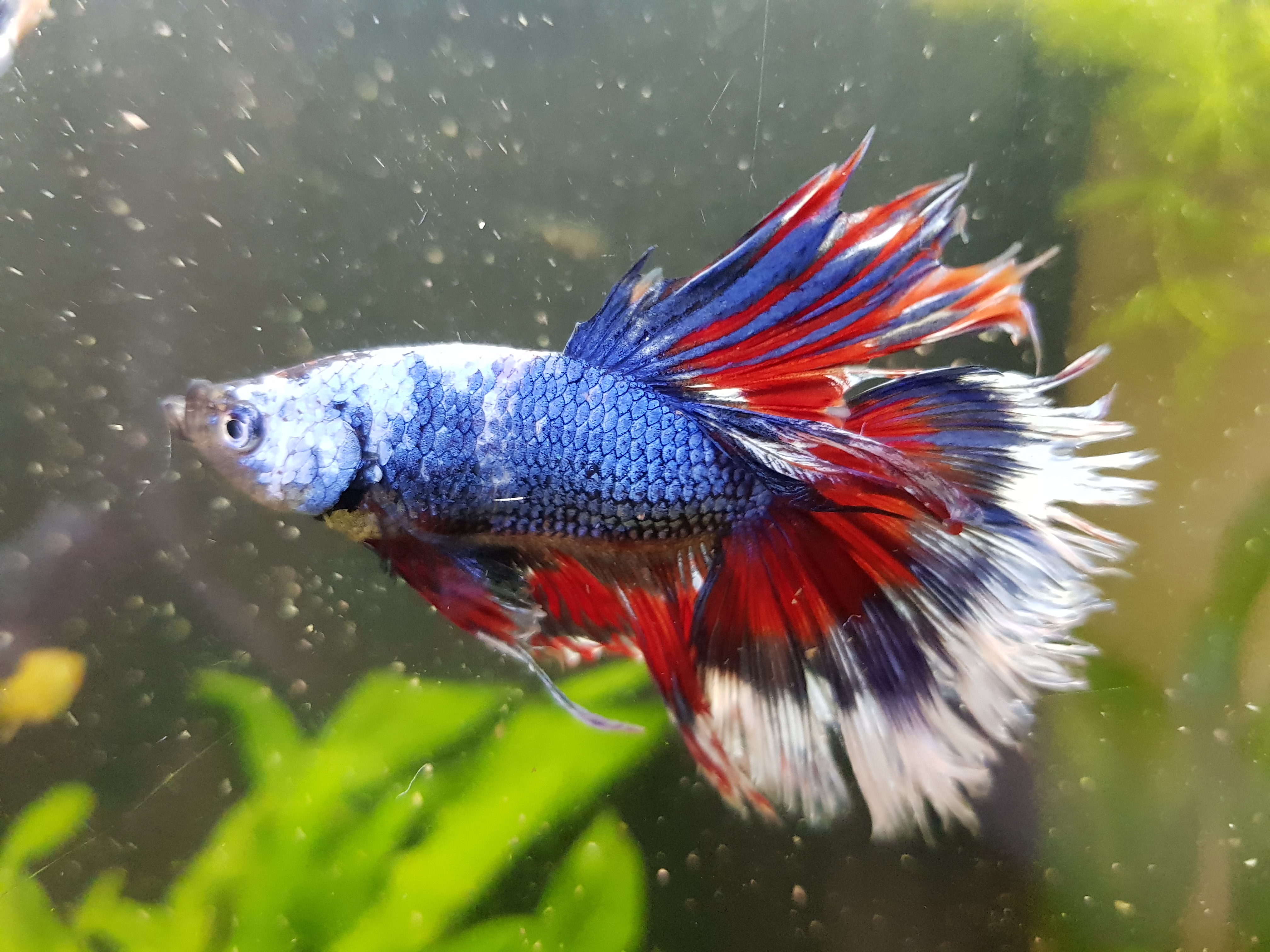 Photo n° 1 de l'avis de Vincent. fait le 13/12/2018 à 15:55