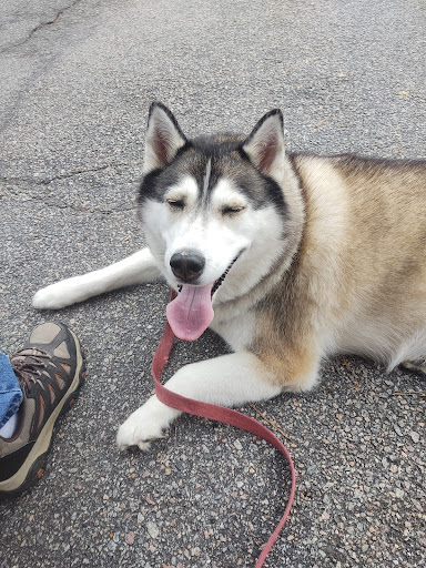 Pet Supply Store «Care-A-Lot Pet Supply Indian River», reviews and photos, 5457 Indian River Rd, Virginia Beach, VA 23464, USA