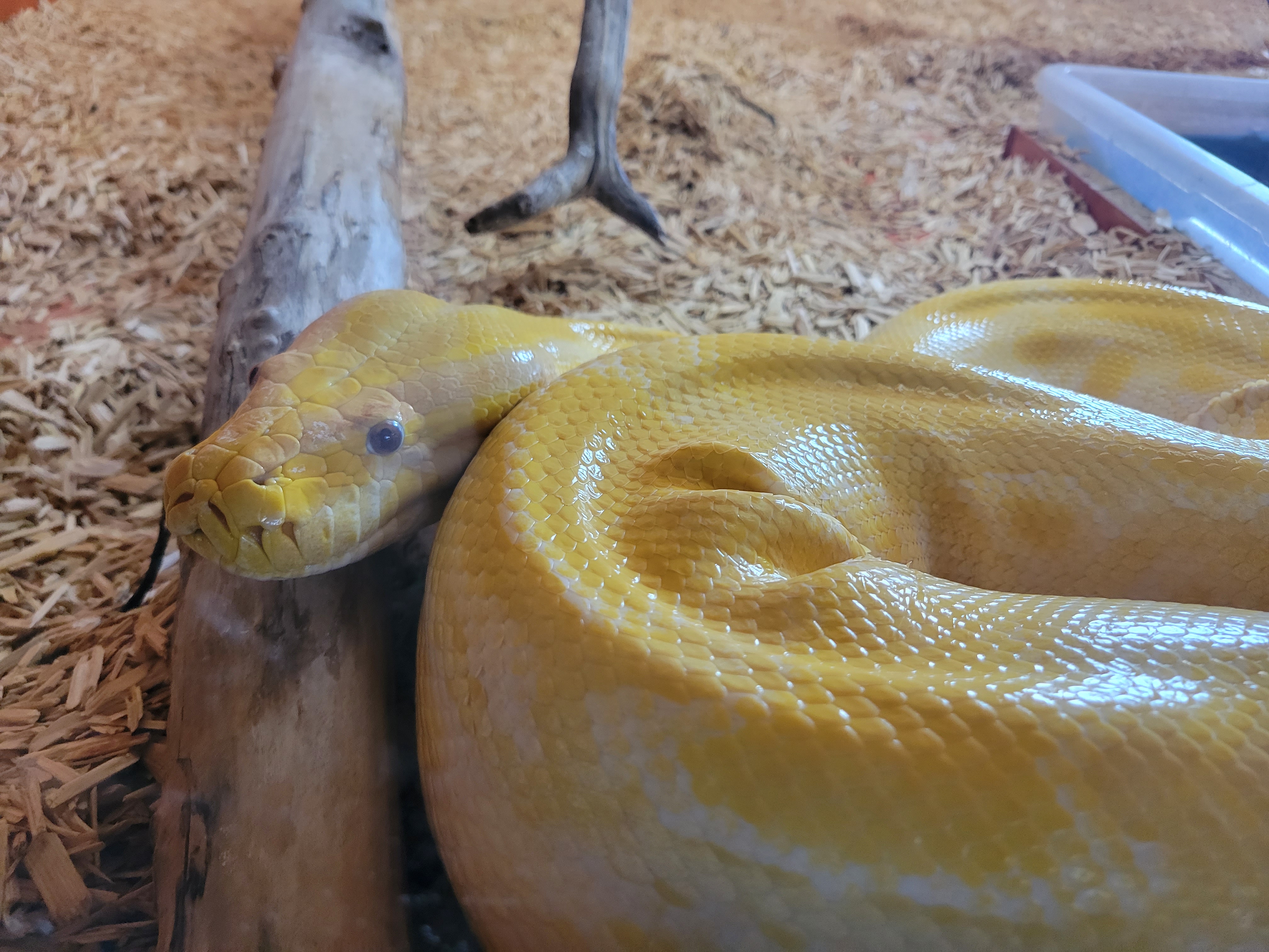 Photo n° 1 de l'avis de Maxime.a fait le 15/08/2023 à 12:23