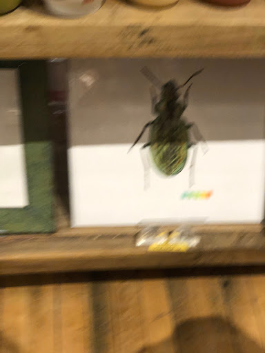 Gift Shop «Foursided», reviews and photos, 2958 N Clark St, Chicago, IL 60657, USA