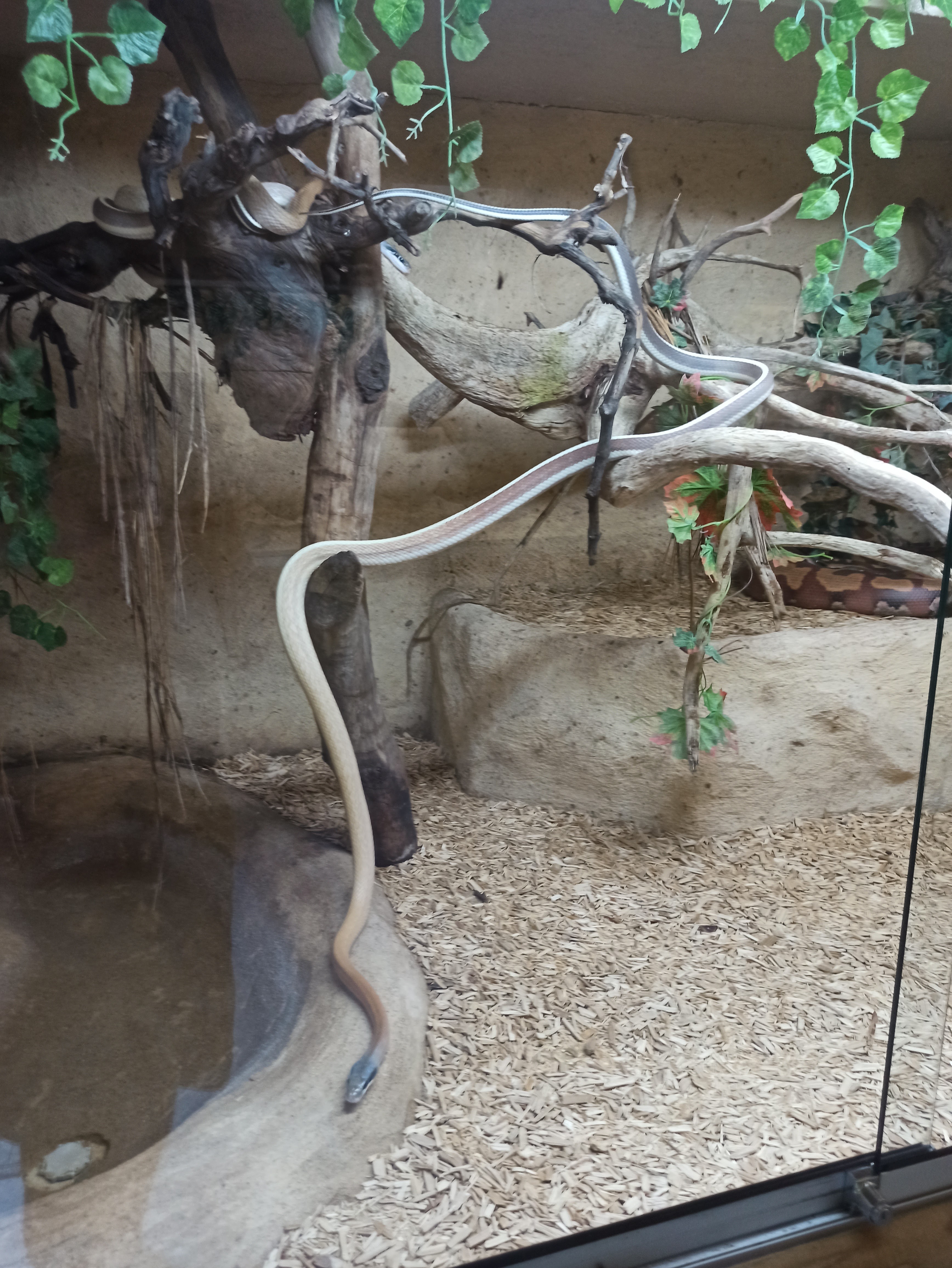 Photo n° 9 de l'avis de Thierry.e fait le 10/07/2023 à 16:02