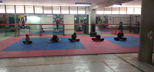 Dojo Free Karate System - F4R7+8FP, Caracas 1053, Distrito Capital, Venezuela