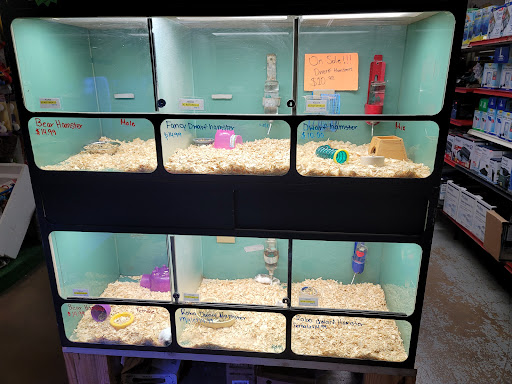 Pet Store «Southside Aquatics», reviews and photos, 2039 Pleasanton Rd, San Antonio, TX 78221, USA