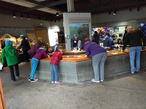 Aquarium «Oregon Coast Aquarium», reviews and photos, 2820 SE Ferry Slip Rd, Newport, OR 97365, USA