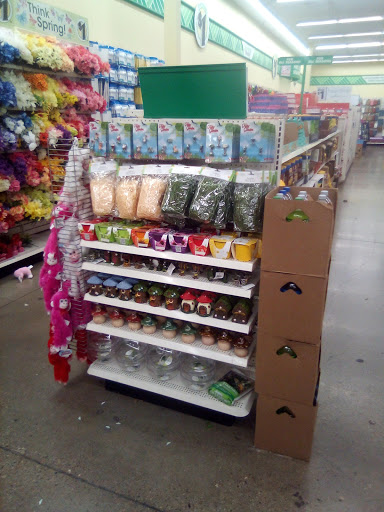 Dollar Store «Dollar Tree», reviews and photos, 10408 Trinity Pkwy a, Stockton, CA 95219, USA