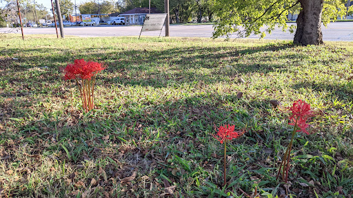 Jewelry Buyer «Mckinney Jewelry & Loan», reviews and photos, 800 S McDonald St, McKinney, TX 75069, USA