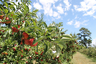 'Greenhill' Orchards