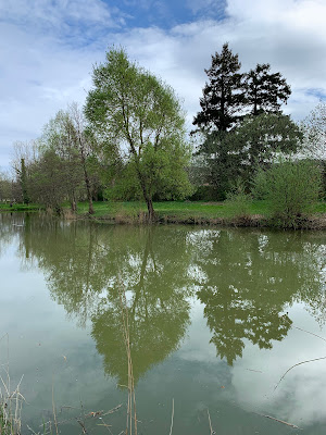 Etang du Parc des Pachottes, Simandres à Simandres