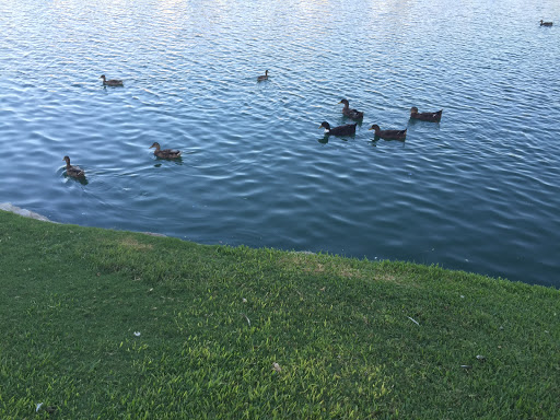 Park «Mike Ward Community Park Woodbridge», reviews and photos, 20 Lake Rd, Irvine, CA 92604, USA