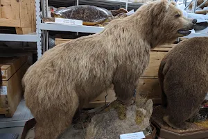 Natural Heritage Campus, Canadian Museum of Nature image