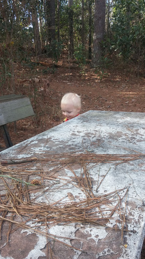 Tourist Attraction «Monastery Of The Holy Spirit», reviews and photos, 2625 GA-212, Conyers, GA 30094, USA