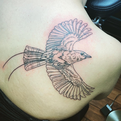 Explore tattoo ideas quarter sleeve, creative tattoo ideas in Fort Collins, available at Meadowlark Tattoo