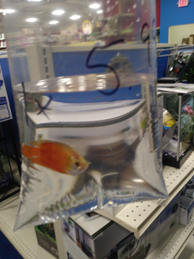 Pet Supply Store «Pet Supermarket, Inc.», reviews and photos, 9579 Bill Arp Rd #21, Douglasville, GA 30135, USA