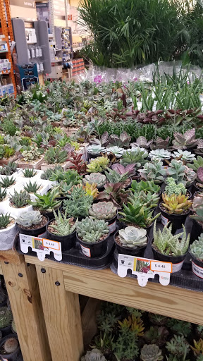 Home Improvement Store «The Home Depot», reviews and photos, 1074 Cross Creek Dr, Saltillo, MS 38866, USA