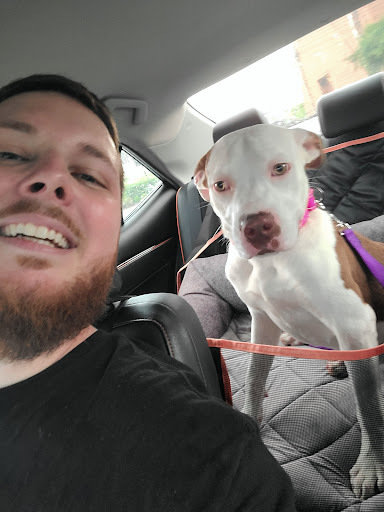 Pet Supply Store «PetSmart», reviews and photos, 181 Wilson Ave, Hanover, PA 17331, USA