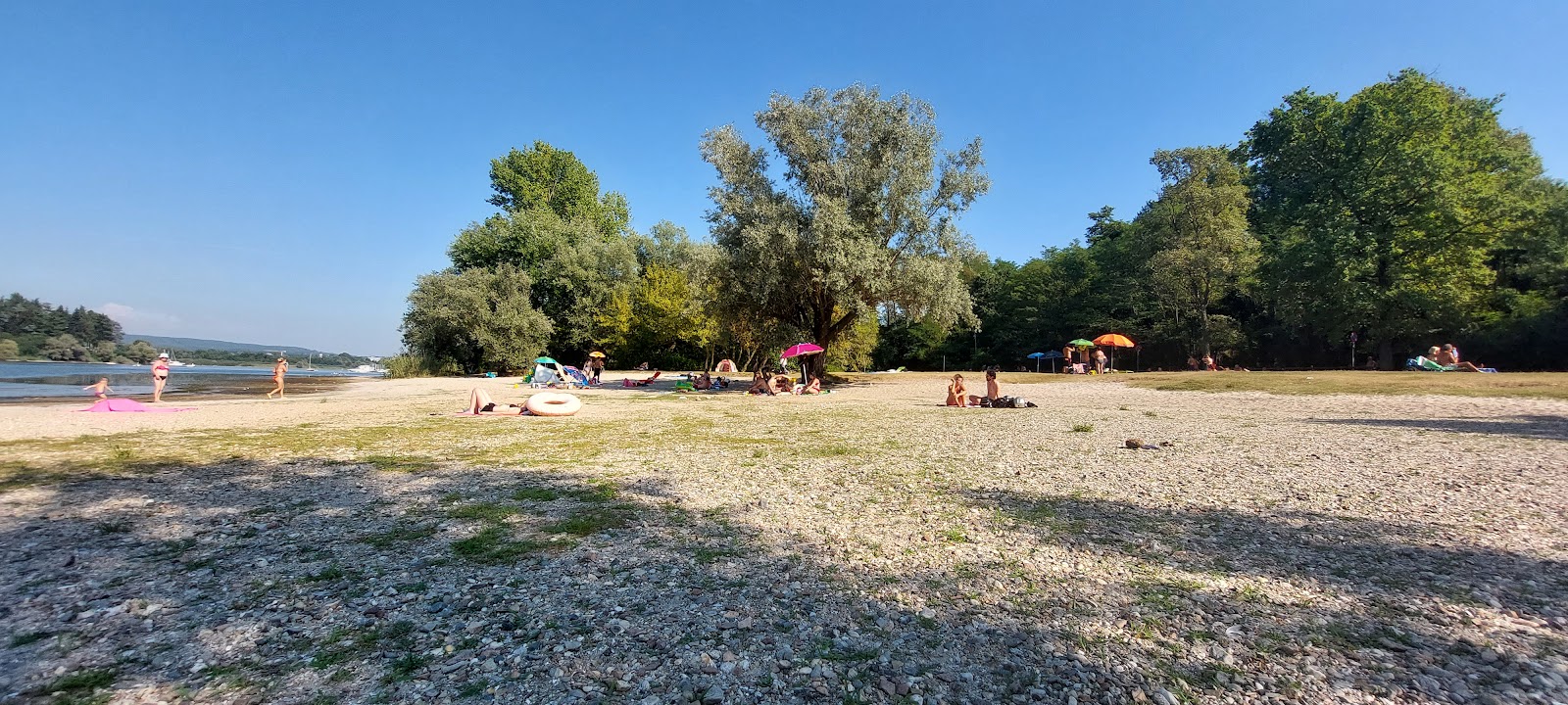 Spiaggia Cicognola photo #8