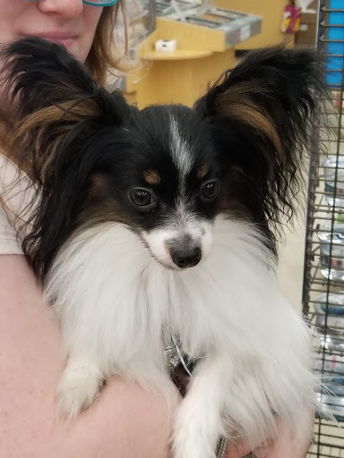 Pet Supply Store «Petco Animal Supplies», reviews and photos, 7400 Rivers Ave z, North Charleston, SC 29406, USA