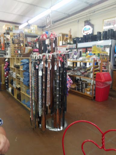 Grocery Store «Out West General Store», reviews and photos, 17121 W Glendale Ave, Waddell, AZ 85355, USA