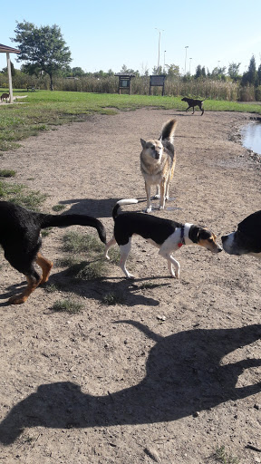 Dog Park «Beck Lake Off-Leash Dog Area», reviews and photos, 9700 Gloria Ct, Glenview, IL 60025, USA